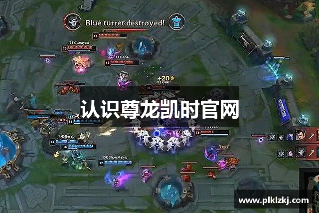 认识尊龙凯时官网